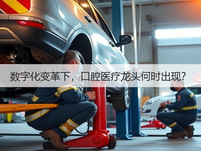 数字化变革下,口腔医疗龙头何时出现?(图3) 数字化变革下,口腔医疗龙头何时出现?(图3)