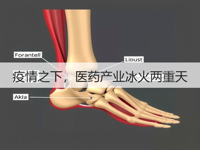 疫情之下,医药产业冰火两重天(图1) 疫情之下,医药产业冰火两重天(图1)