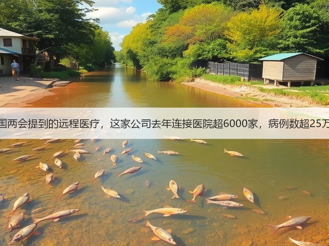 全国两会提到的远程医疗,这家公司去年连接医院超6000家,病例数超25万例(图1) 全国两会提到的远程医疗,这家公司去年连接医院超6000家,病例数超25万例(图1)