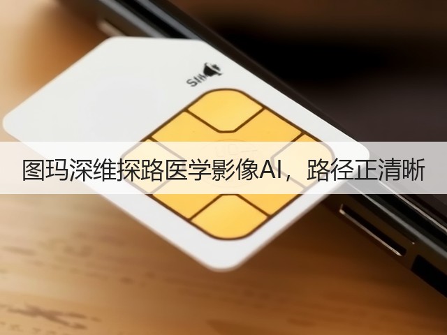 图玛深维探路医学影像AI,路径正清晰(图3) 图玛深维探路医学影像AI,路径正清晰(图3)