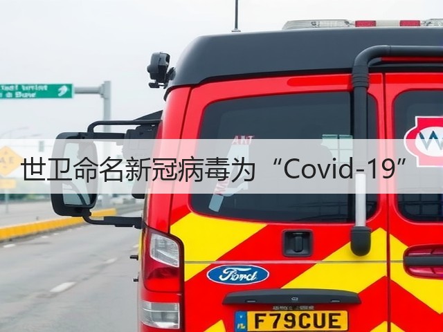 世卫命名新冠病毒为“Covid-19”(图1) 世卫命名新冠病毒为“Covid-19”(图1)