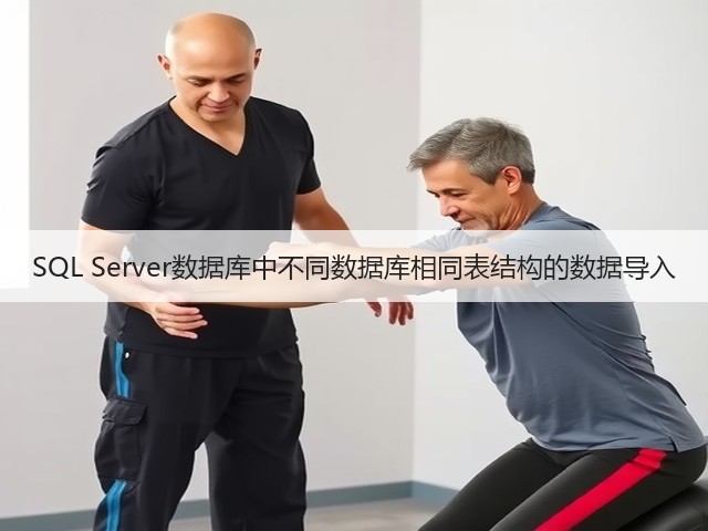 SQL Server数据库中不同数据库相同表结构的数据导入(图2) SQL Server数据库中不同数据库相同表结构的数据导入(图2)
