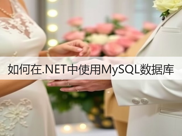 如何在.NET中使用MySQL数据库(图1)
