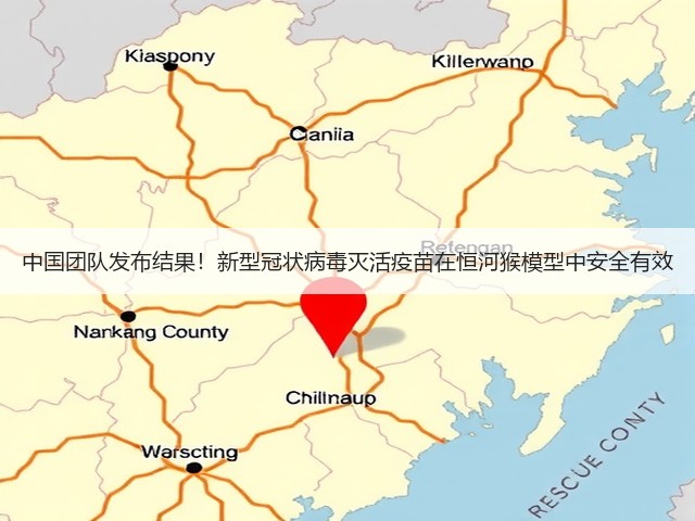 中国团队发布结果!新型冠状病毒灭活疫苗在恒河猴模型中安全有效(图3) 中国团队发布结果!新型冠状病毒灭活疫苗在恒河猴模型中安全有效(图3)