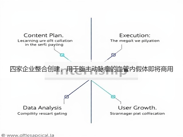 四家企业整合创建,用于腹主动脉瘤的血管内假体即将商用(图3) 四家企业整合创建,用于腹主动脉瘤的血管内假体即将商用(图3)