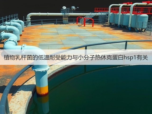 植物乳杆菌的低温耐受能力与小分子热休克蛋白hsp1有关(图1) 植物乳杆菌的低温耐受能力与小分子热休克蛋白hsp1有关(图1)