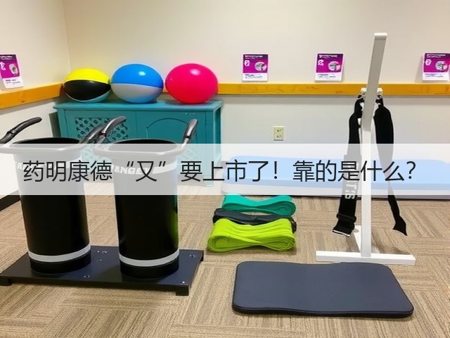 药明康德“又”要上市了！靠的是什么？(图1)