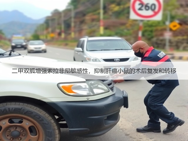 二甲双胍增强索拉非尼敏感性,抑制肝癌小鼠的术后复发和转移(图1) 二甲双胍增强索拉非尼敏感性,抑制肝癌小鼠的术后复发和转移(图1)