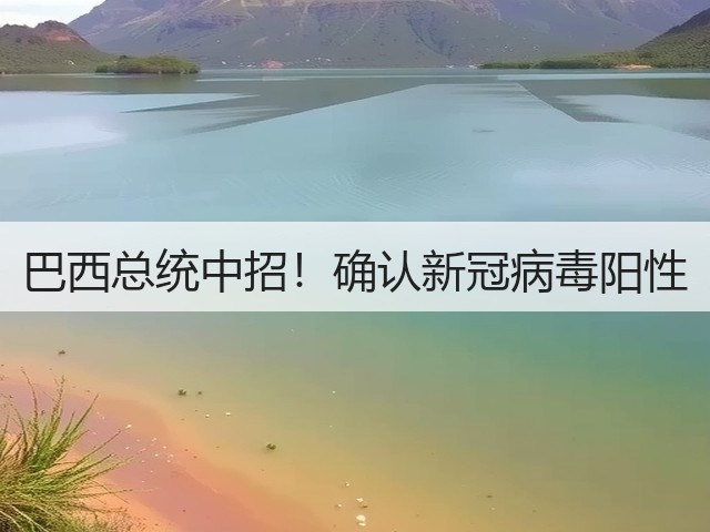 巴西总统中招!确认新冠病毒阳性(图1) 巴西总统中招!确认新冠病毒阳性(图1)