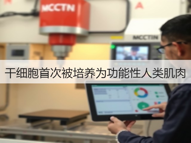 干细胞首次被培养为功能性人类肌肉(图3)