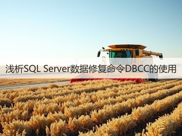 浅析SQL Server数据修复命令DBCC的使用(图2) 浅析SQL Server数据修复命令DBCC的使用(图2)