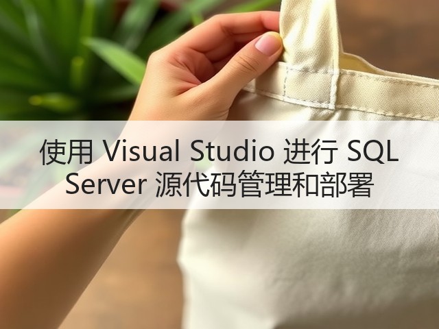 使用 Visual Studio 进行 SQL Server 源代码管理和部署(图1) 使用 Visual Studio 进行 SQL Server 源代码管理和部署(图1)