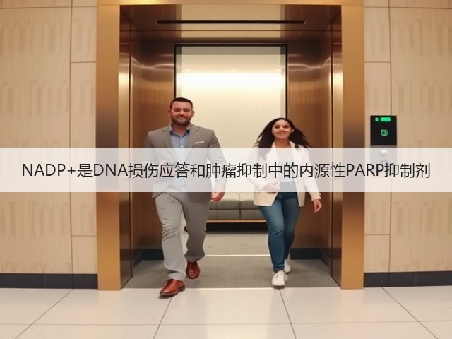 NADP+是DNA损伤应答和肿瘤抑制中的内源性PARP抑制剂(图1) NADP+是DNA损伤应答和肿瘤抑制中的内源性PARP抑制剂(图1)
