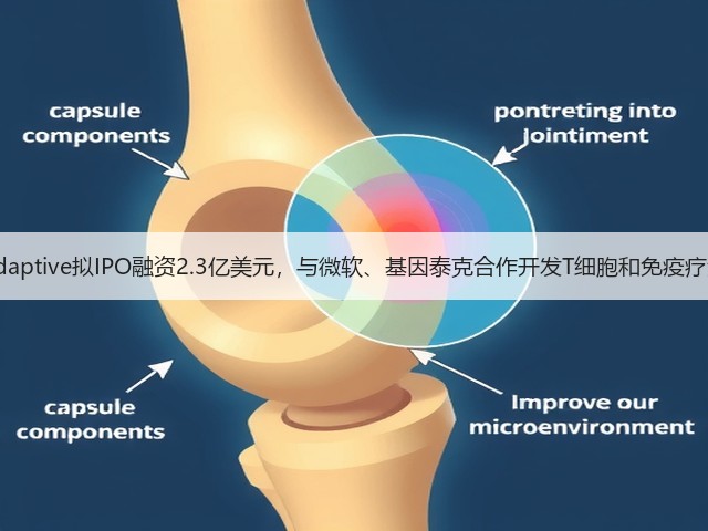Adaptive拟IPO融资2.3亿美元，与微软、基因泰克合作开发T细胞和免疫疗法(图2)