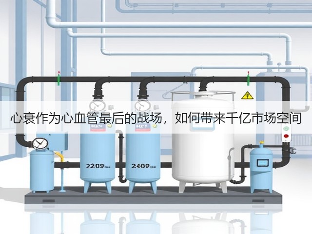 心衰作为心血管最后的战场,如何带来千亿市场空间(图2) 心衰作为心血管最后的战场,如何带来千亿市场空间(图2)