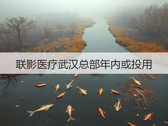 联影医疗武汉总部年内或投用(图3)