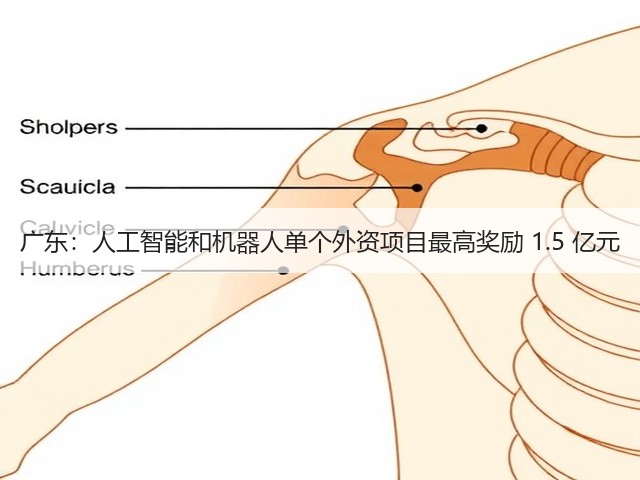 广东：人工智能和机器人单个外资项目最高奖励 1.5 亿元(图2)