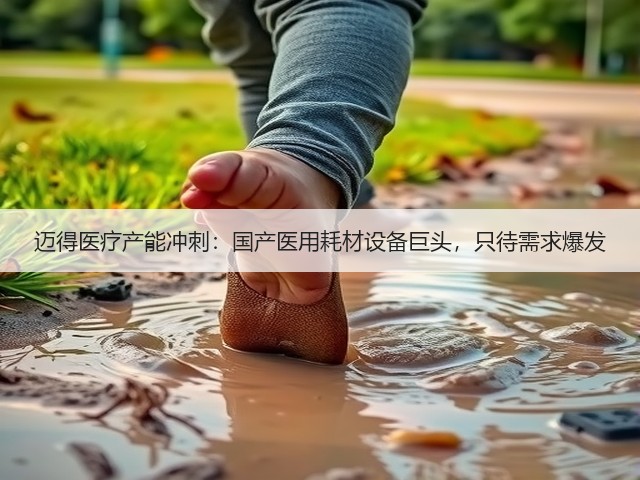 迈得医疗产能冲刺:国产医用耗材设备巨头,只待需求爆发(图3) 迈得医疗产能冲刺:国产医用耗材设备巨头,只待需求爆发(图3)