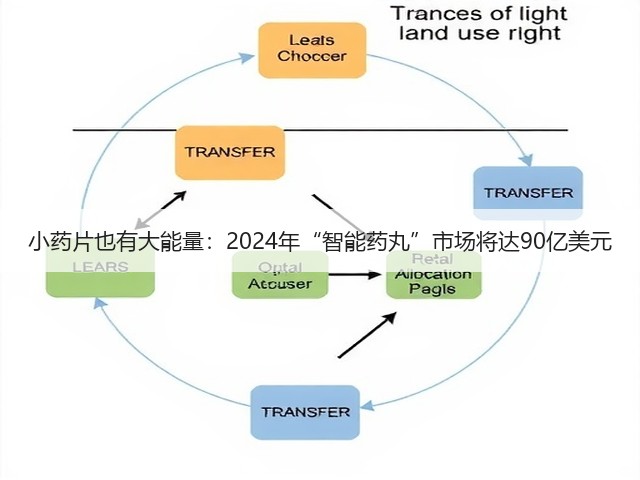 小药片也有大能量：2024年“智能药丸”市场将达90亿美元(图3)