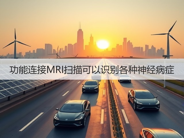 功能连接MRI扫描可以识别各种神经病症(图3) 功能连接MRI扫描可以识别各种神经病症(图3)