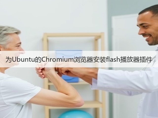 为Ubuntu的Chromium浏览器安装flash播放器插件(图1) 为Ubuntu的Chromium浏览器安装flash播放器插件(图1)