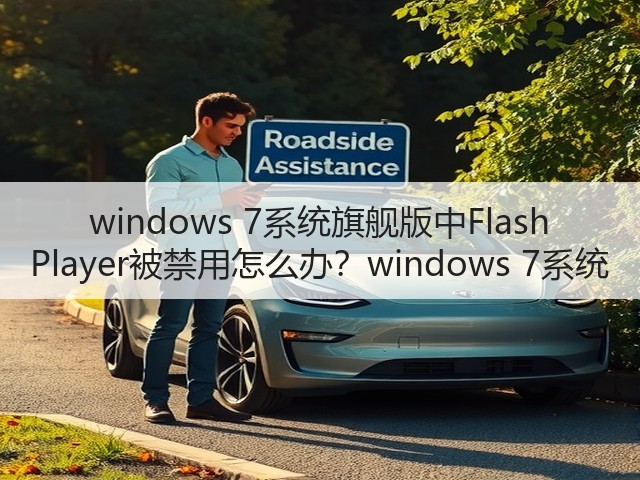 windows 7系统旗舰版中Flash Player被禁用怎么办？windows 7系统(图2)