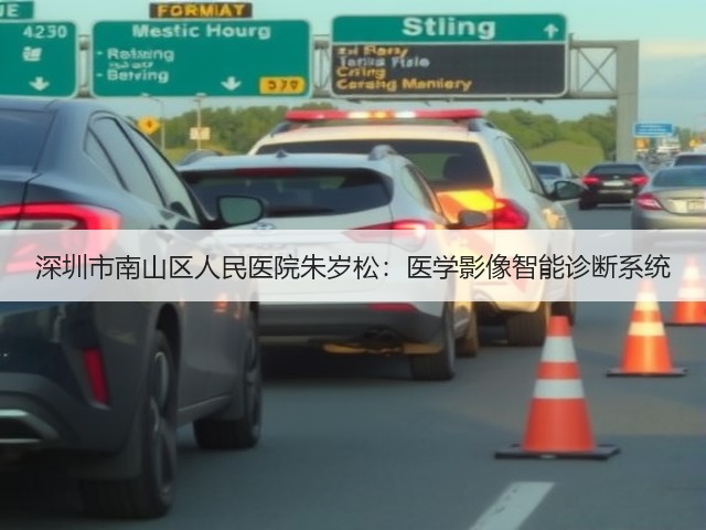 深圳市南山区人民医院朱岁松：医学影像智能诊断系统(图2)
