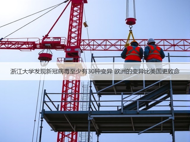 浙江大学发现新冠病毒至少有30种变异 欧洲的变异比美国更致命(图1) 浙江大学发现新冠病毒至少有30种变异 欧洲的变异比美国更致命(图1)