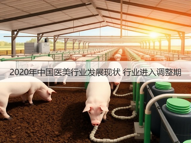 2020年中国医美行业发展现状 行业进入调整期(图1) 2020年中国医美行业发展现状 行业进入调整期(图1)