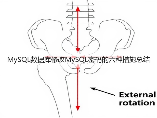 MySQL数据库修改MySQL密码的六种措施总结(图3) MySQL数据库修改MySQL密码的六种措施总结(图3)