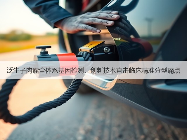 泛生子肉瘤全体系基因检测，创新技术直击临床精准分型痛点(图2)