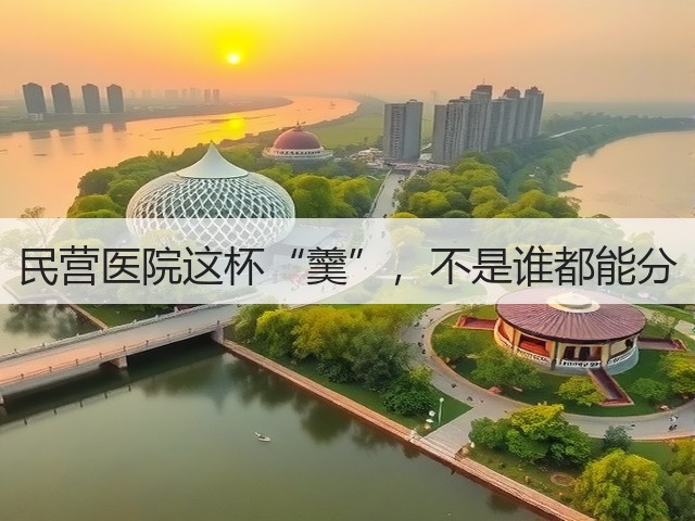民营医院这杯“羹”，不是谁都能分(图2)