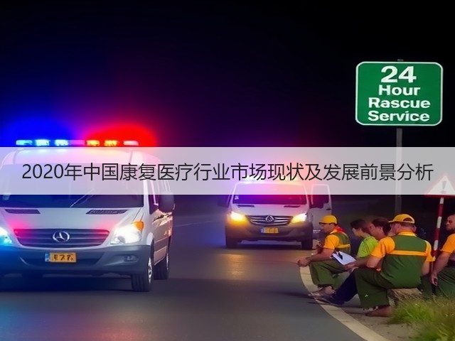 2020年中国康复医疗行业市场现状及发展前景分析(图2)