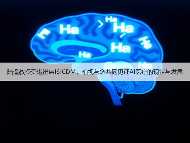 陆遥教授受邀出席ISICDM，柏视与您共同见证AI医疗的现状与发展(图3)