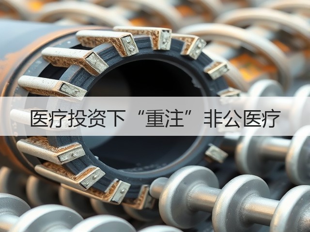 医疗投资下“重注”非公医疗(图3) 医疗投资下“重注”非公医疗(图3)