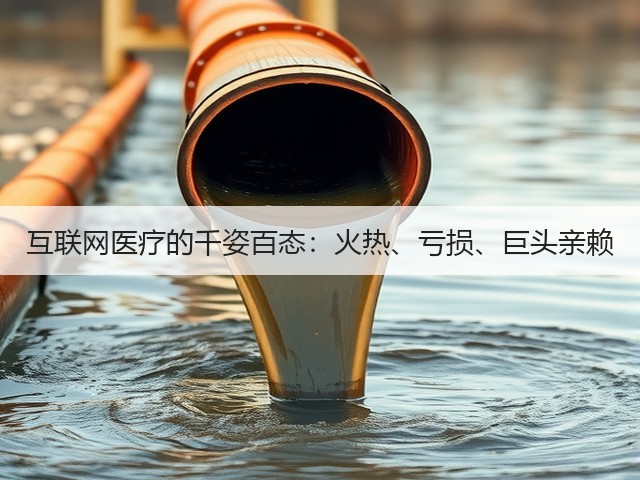 互联网医疗的千姿百态:火热、亏损、巨头亲赖(图1) 互联网医疗的千姿百态:火热、亏损、巨头亲赖(图1)
