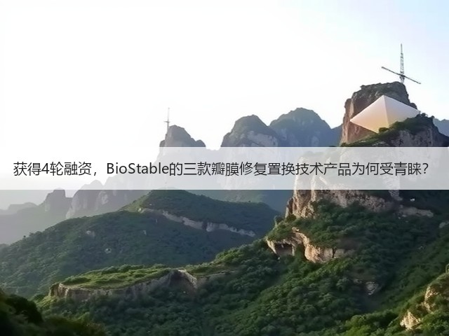 获得4轮融资,BioStable的三款瓣膜修复置换技术产品为何受青睐?(图3) 获得4轮融资,BioStable的三款瓣膜修复置换技术产品为何受青睐?(图3)