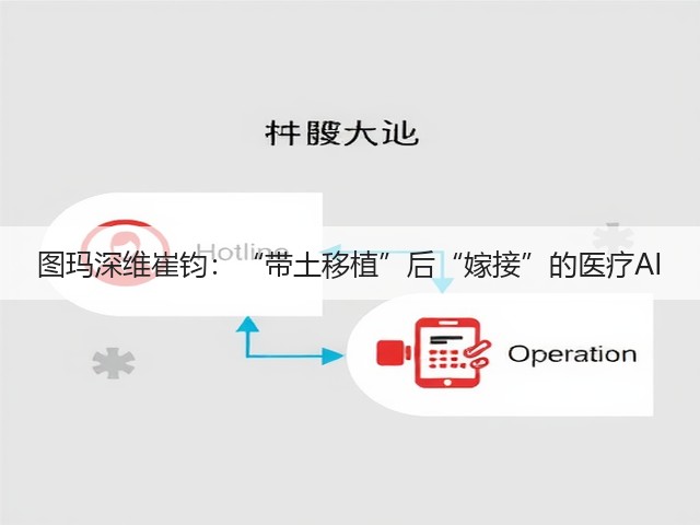 图玛深维崔钧:“带土移植”后“嫁接”的医疗AI(图1) 图玛深维崔钧:“带土移植”后“嫁接”的医疗AI(图1)