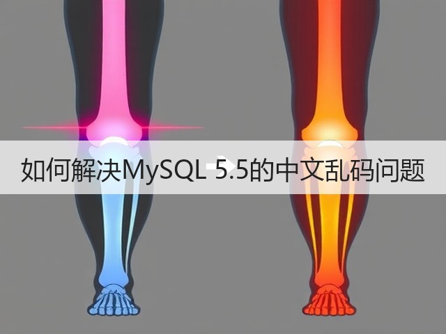 如何解决MySQL 5.5的中文乱码问题(图2)