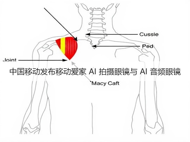 中国移动发布移动爱家 AI 拍摄眼镜与 AI 音频眼镜(图3)