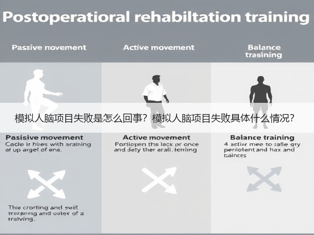 模拟人脑项目失败是怎么回事?模拟人脑项目失败具体什么情况?(图2) 模拟人脑项目失败是怎么回事?模拟人脑项目失败具体什么情况?(图2)