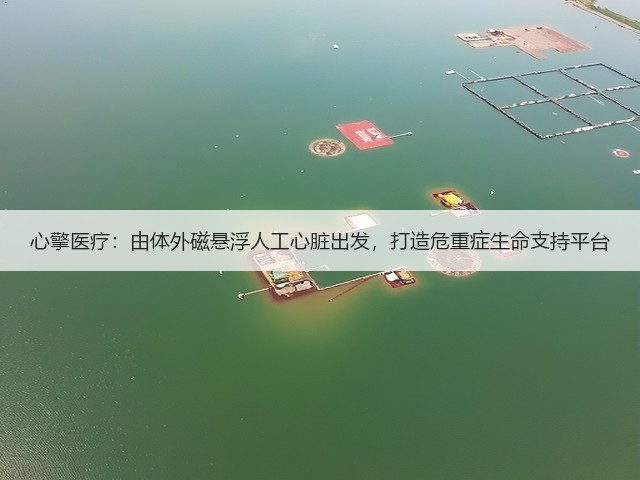 心擎医疗：由体外磁悬浮人工心脏出发，打造危重症生命支持平台(图2)