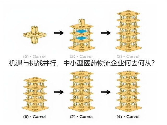 机遇与挑战并行,中小型医药物流企业何去何从?(图3) 机遇与挑战并行,中小型医药物流企业何去何从?(图3)
