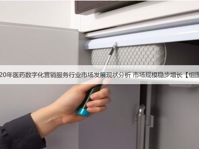 2020年医药数字化营销服务行业市场发展现状分析 市场规模稳步增长【组图】(图2) 2020年医药数字化营销服务行业市场发展现状分析 市场规模稳步增长【组图】(图2)