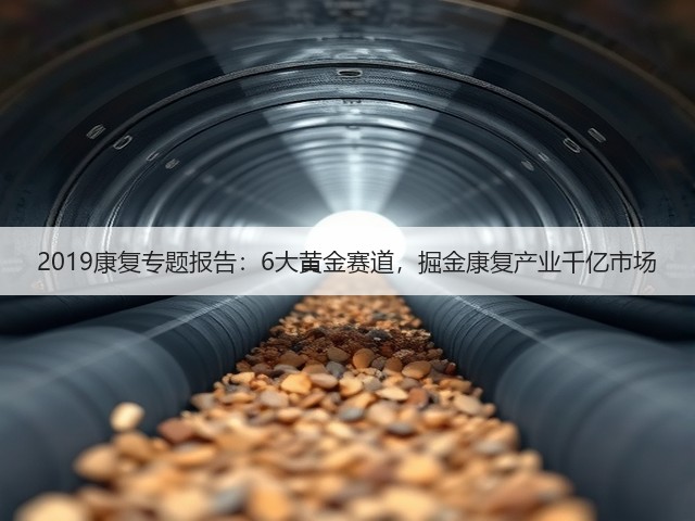 2019康复专题报告：6大黄金赛道，掘金康复产业千亿市场(图2)