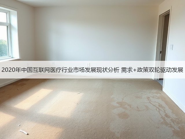 2020年中国互联网医疗行业市场发展现状分析 需求+政策双轮驱动发展(图3) 2020年中国互联网医疗行业市场发展现状分析 需求+政策双轮驱动发展(图3)