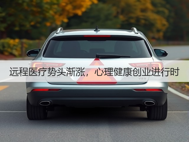 远程医疗势头渐涨,心理健康创业进行时(图2) 远程医疗势头渐涨,心理健康创业进行时(图2)