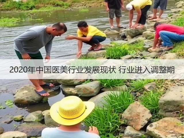 2020年中国医美行业发展现状 行业进入调整期(图3) 2020年中国医美行业发展现状 行业进入调整期(图3)