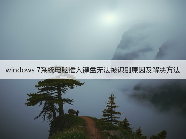 windows 7系统电脑插入键盘无法被识别原因及解决方法(图3) windows 7系统电脑插入键盘无法被识别原因及解决方法(图3)