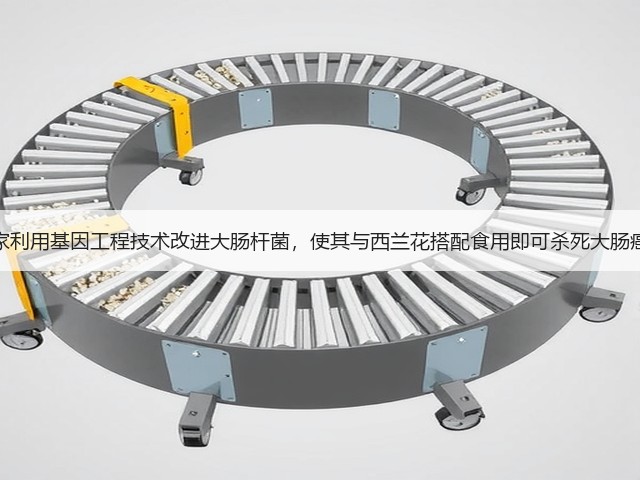 科学家利用基因工程技术改进大肠杆菌,使其与西兰花搭配食用即可杀死大肠癌细胞(图2) 科学家利用基因工程技术改进大肠杆菌,使其与西兰花搭配食用即可杀死大肠癌细胞(图2)